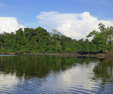Amazonasfeeling in Suriname