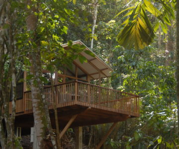 Bergendal Resort, Suriname, Berg en Dal, Baumhaus