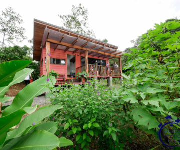 Casitas Tenorio B&B, Costa Rica, Bijagua, Aussenansicht eines Bungalows