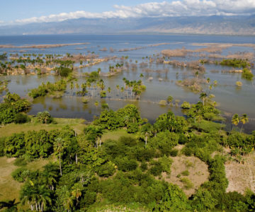 Unter Wasser stehende Bäume im Lago Enriquillo im Südwesten der Dominikanischen Republik