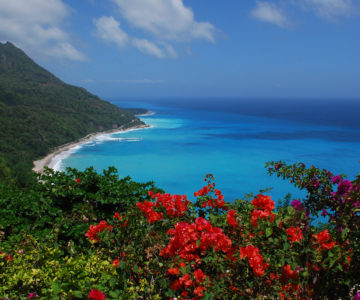 Strandbucht mit bunten Blumen im Südwesten der Dominikanischen Republik