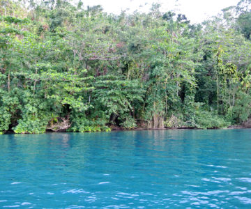 Strahlend blaues Wasser der Blauen Lagune auf Jamaica