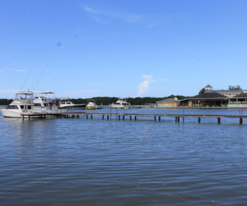 Boote in der Leuchtenden Lagune von Jamaica