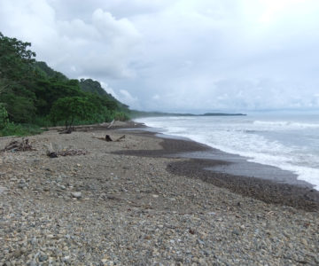 Naturstrand bei Dominical, Costa Rica