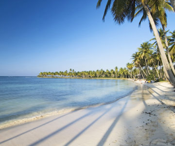 Weißer Palmenstrand in La Terrenas, Dominikanische Republik