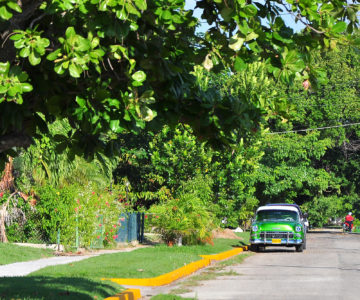 Grüner Oldtimer auf Cuba