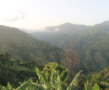 Blick in die Berge der Blue Mountains auf Jamaica