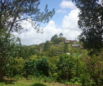 Blick über die Hacienda Pomarrosa im Landesinneren von Puerto Rico