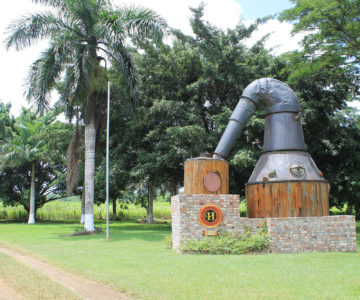 Kessel in der Rumdestillerie Hampden Estate, Jamaica