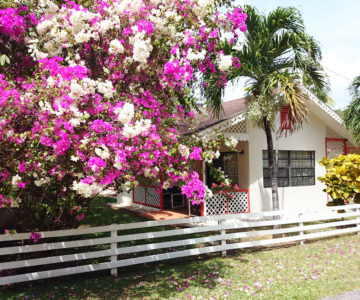 Kingsville Apartments, Bequia, Lower Bay, Chalet