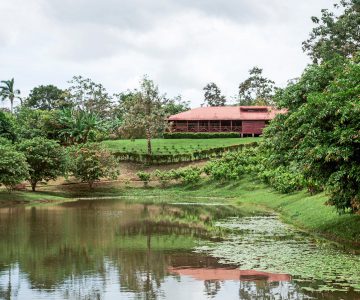 La Anita Rainforest Lodge, Costa Rica, La Libertad, Aussenanlage