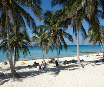 Palmenstrand von Maria La Gorda auf Cuba