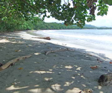 Strand im Nationalpark Cahuita an der Karibikküste, Costa Rica