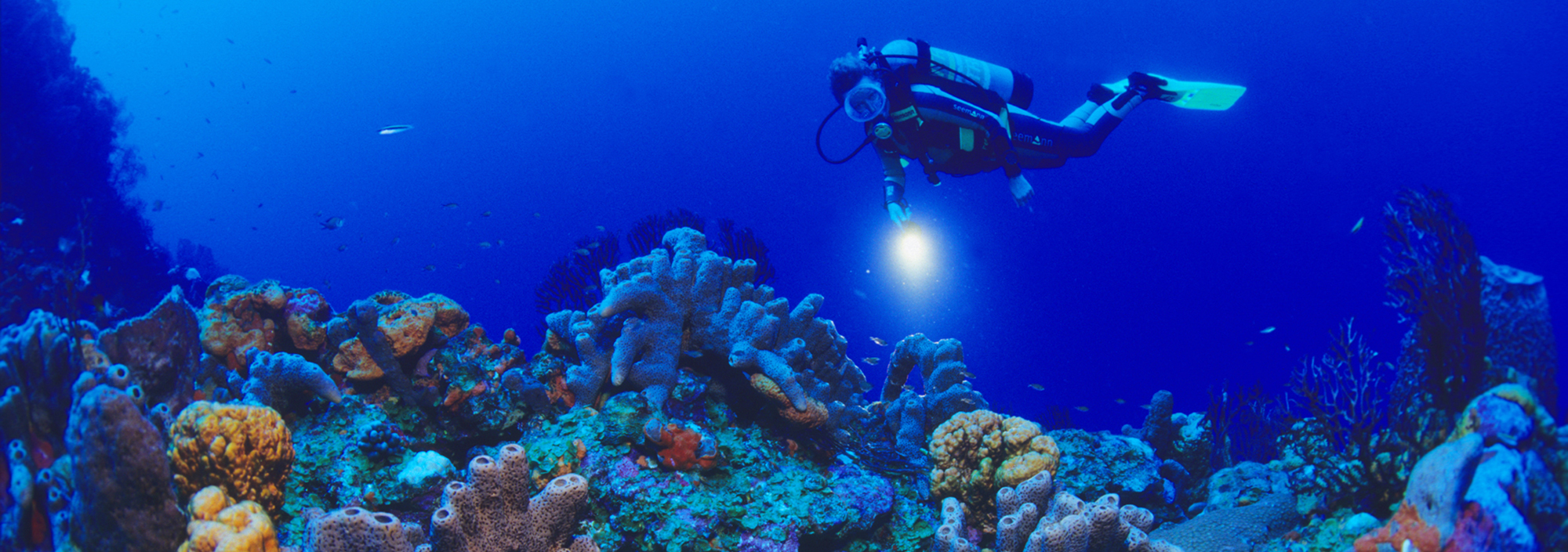 Taucher auf Saba mit bunten Korallen