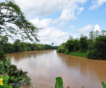 Rio San Carlos im Norden von Costa Rica