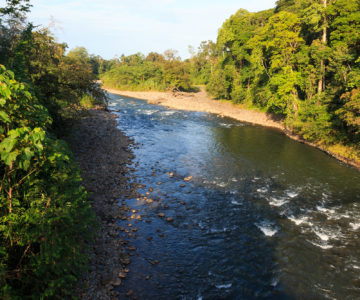 Fluss des Sarapiqui, Costa Rica