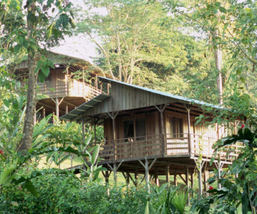 Selva Bananito Lodge, Costa Rica, Rio Bananito, Aussenansicht der Cabinas