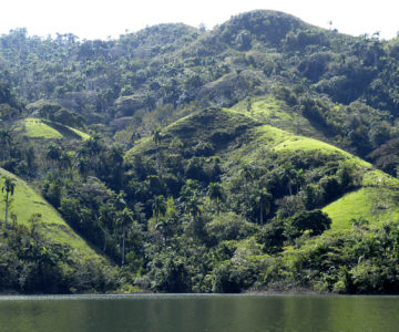 Grüne Berge der Sierra Escambray, Cuba