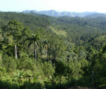 Grüne Berge der Sierra Maestra, Cuba