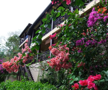 Villa Pomme D'Amour, Saint Lucia, Marigot, Garten