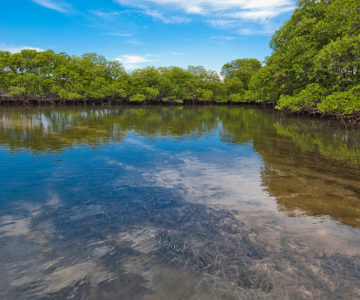 Westlich von Puerto Plata