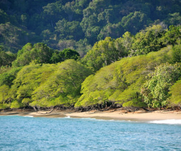 Küste am Zentralpazifik mit Strand und dichtem Regenwald, Costa Rica