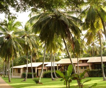 Grand Paradise Samaná, Dominikanische Republik, Samaná, Blick auf die Bungalows