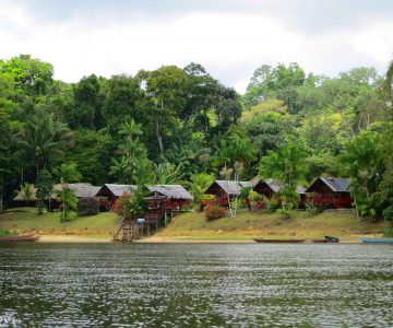 Danpaati River Lodge, Suriname, Upper Suriname River, Blick auf die Bungalows vom Fluss aus