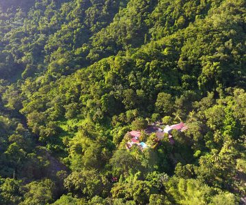 La Maison Russe, Martinique, Fonde-Saint-Denis, Die Anlage liegt mitten im tropischen Regenwald.