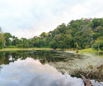 Maquenque Eco Lodge, Costa Rica, Boca Tapada, Lagune