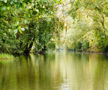 Kanal im Barra de Pacuare, Costa Rica