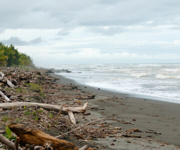 Raue Karibikküste von Costa Rica