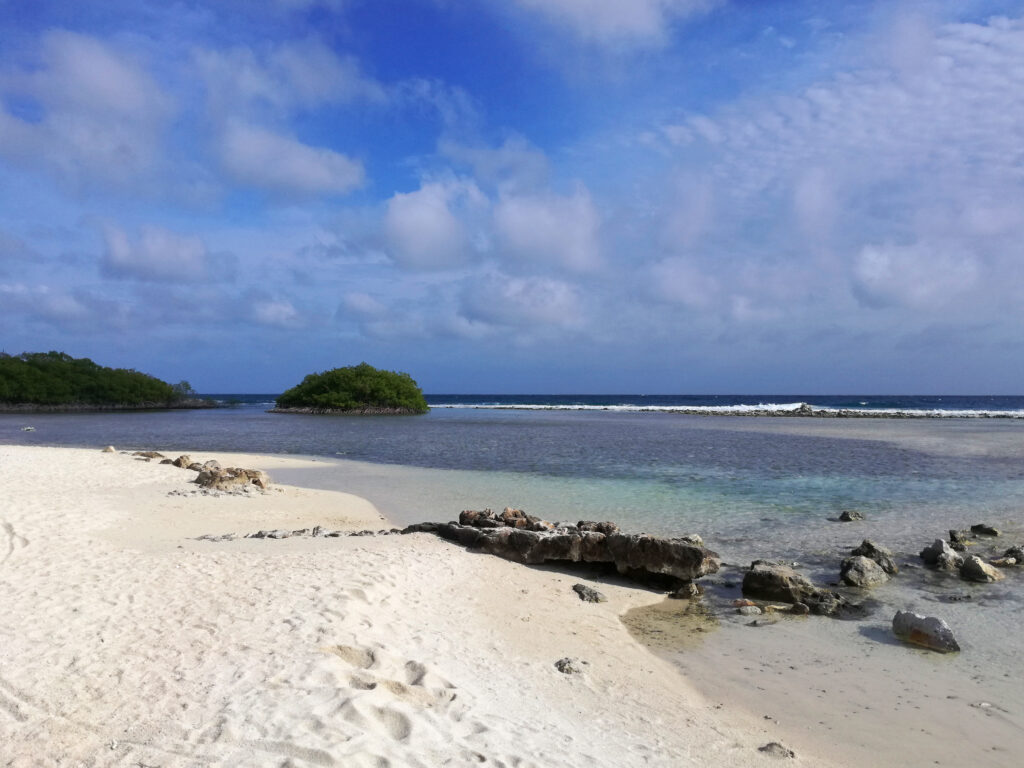 Mangel Halto Strand auf Aruba