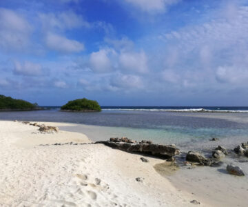 Strand von Mangel Halto, Aruba