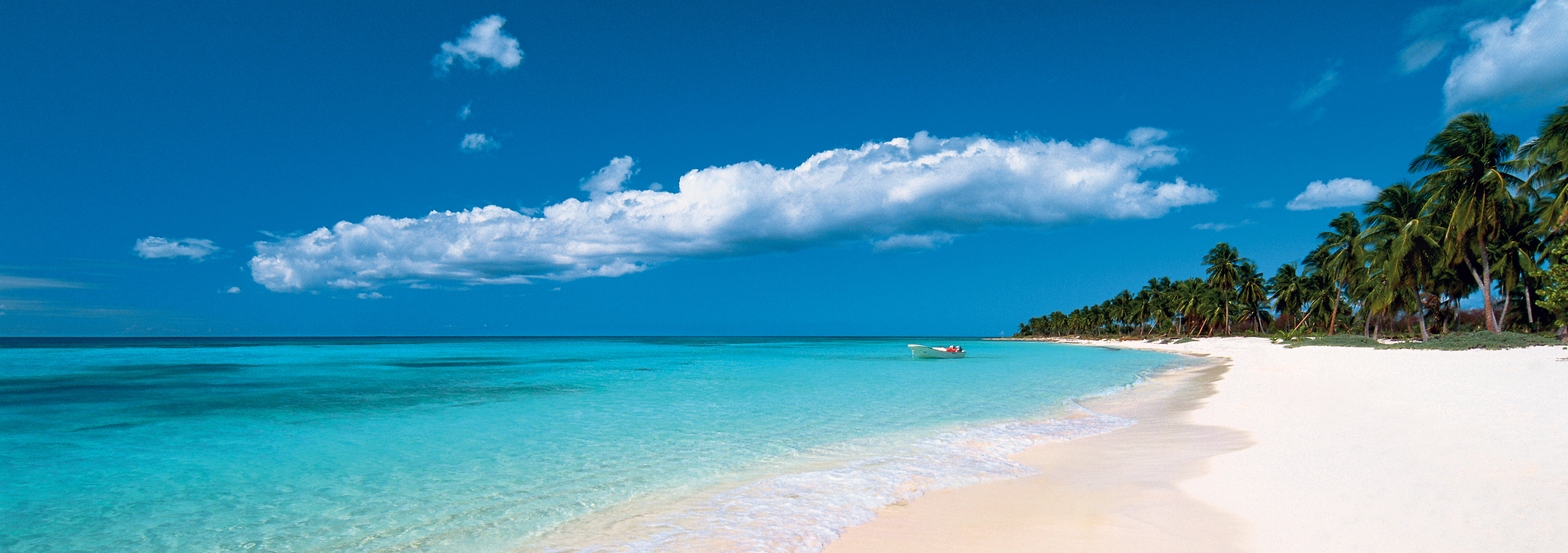 Strand am Cap Cana bei Punta Cana, Dominikanische Republik, Palmenstrand Karibik