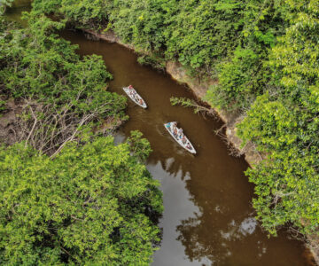 Boote im Regenwald von Guyana