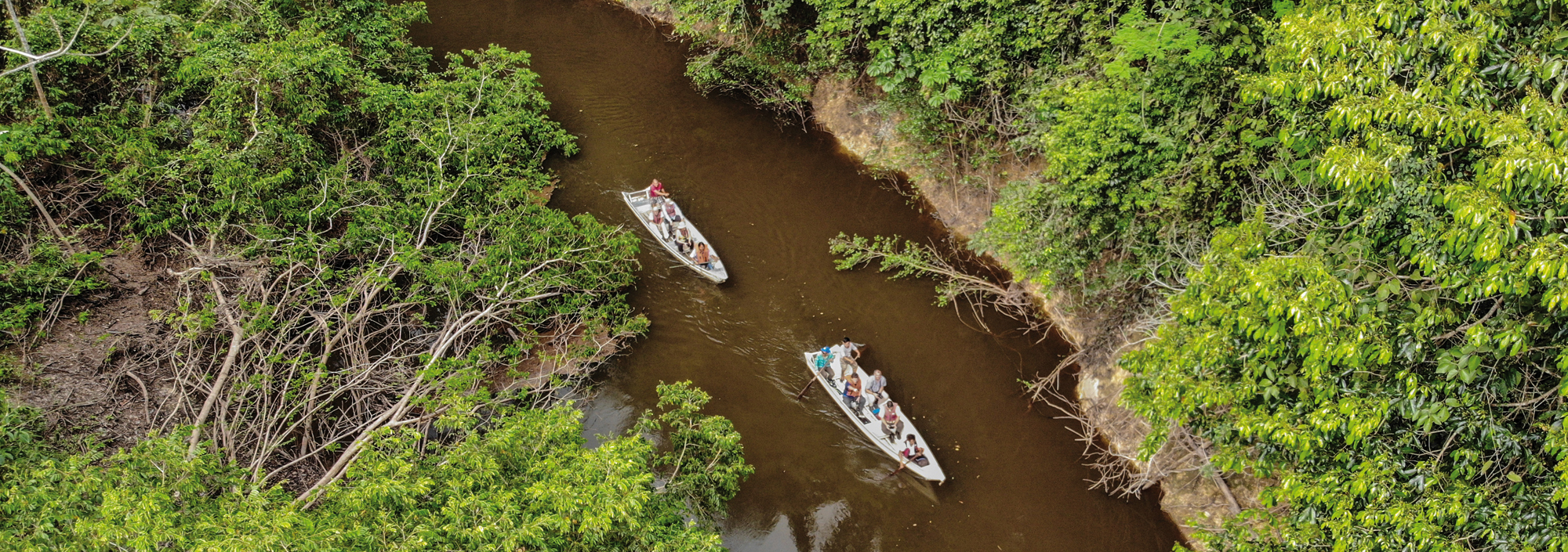 Boote im Regenwald von Guyana
