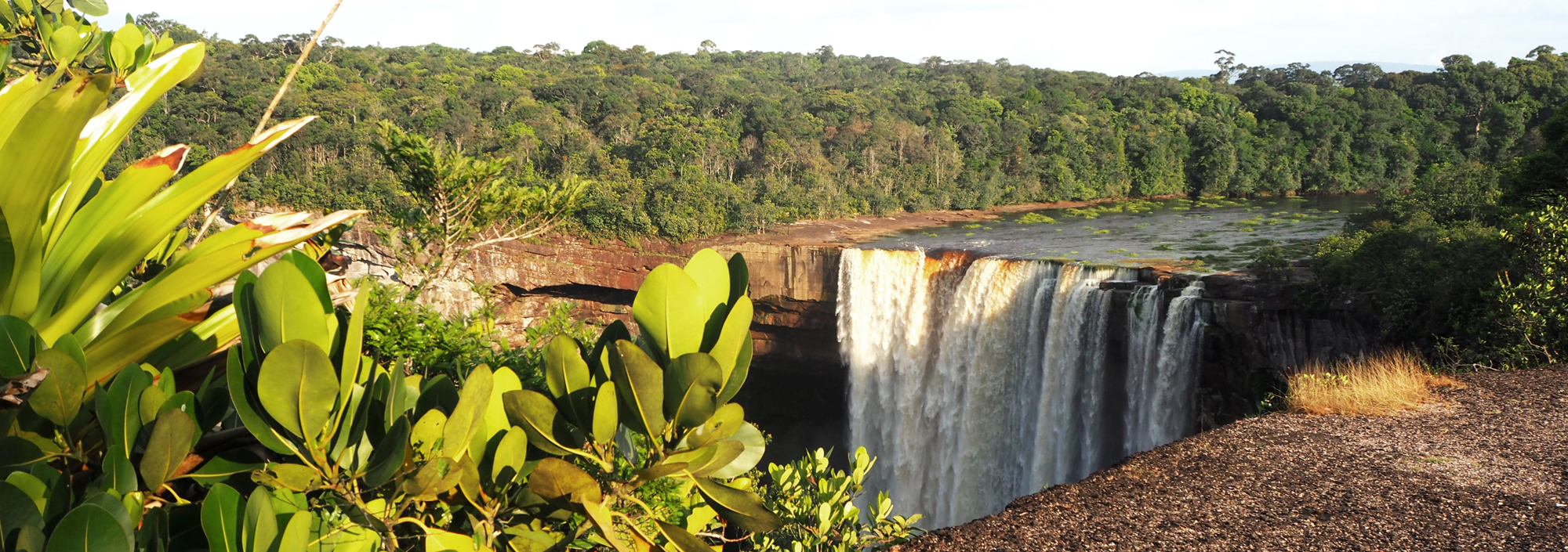 Guyana