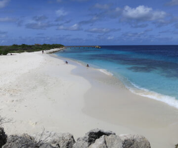 Auch Bonaire bietet ein paar weiße Sandstrände