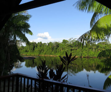 Ausblick aus der Danpaati Lodge im Regenwald Surinames