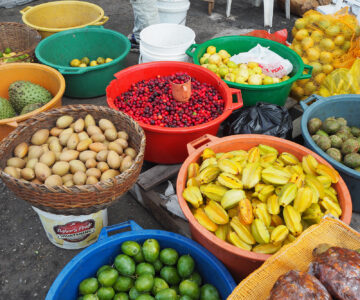 Marktbesuch in Georgetown in Guyana
