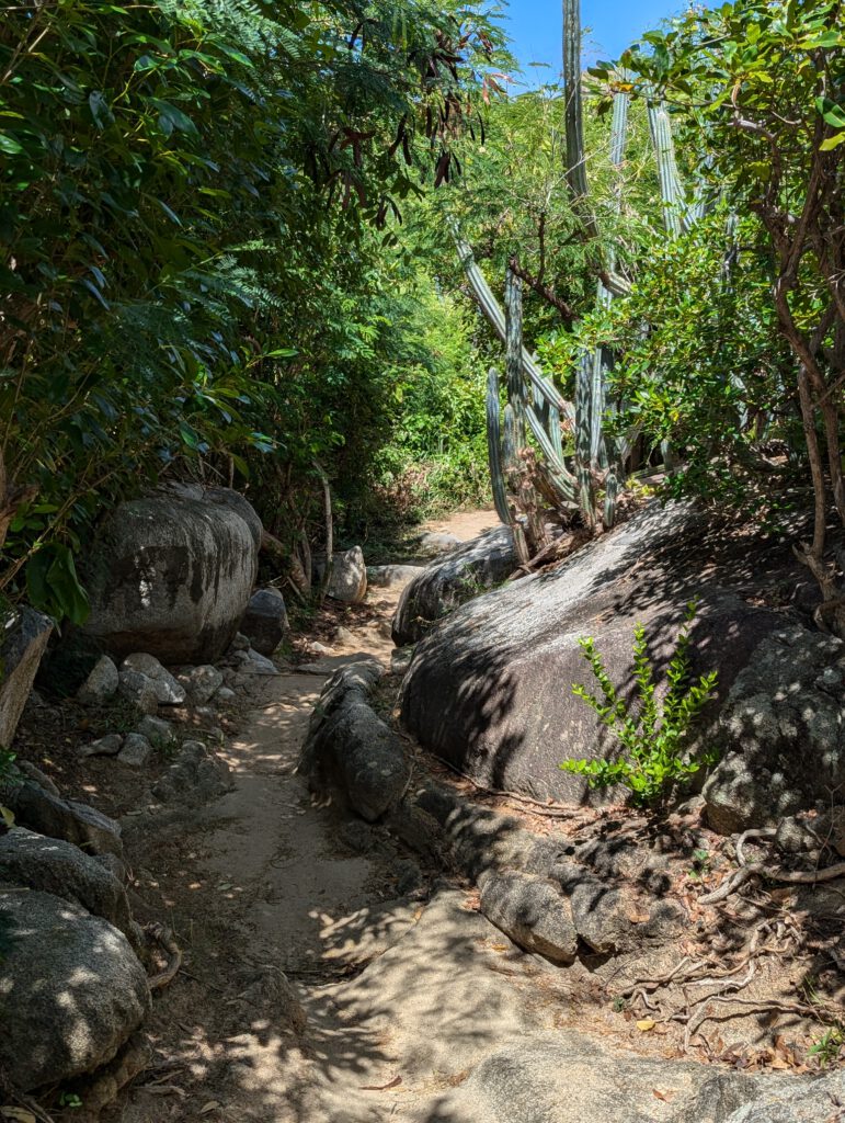 Virgin Gorda Pfad zu The Bath