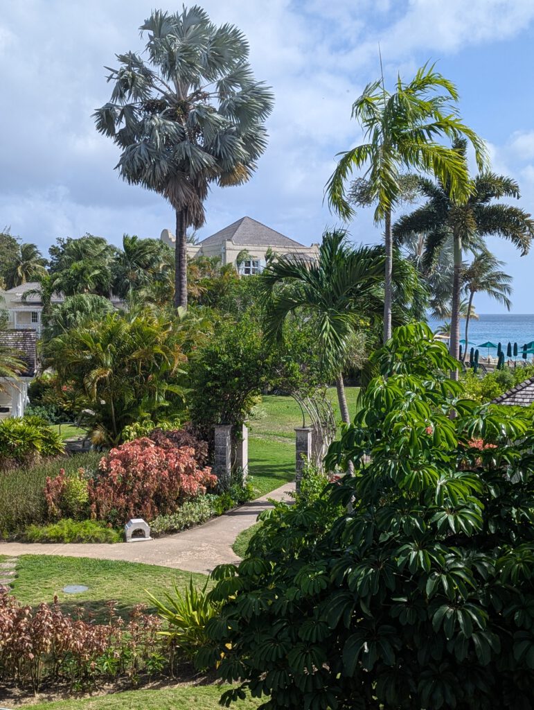 Barbados Coral Reef Club, Garten
