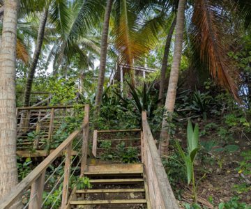 Barbados Eco Lifestyle Lodge Treppe zum Meer