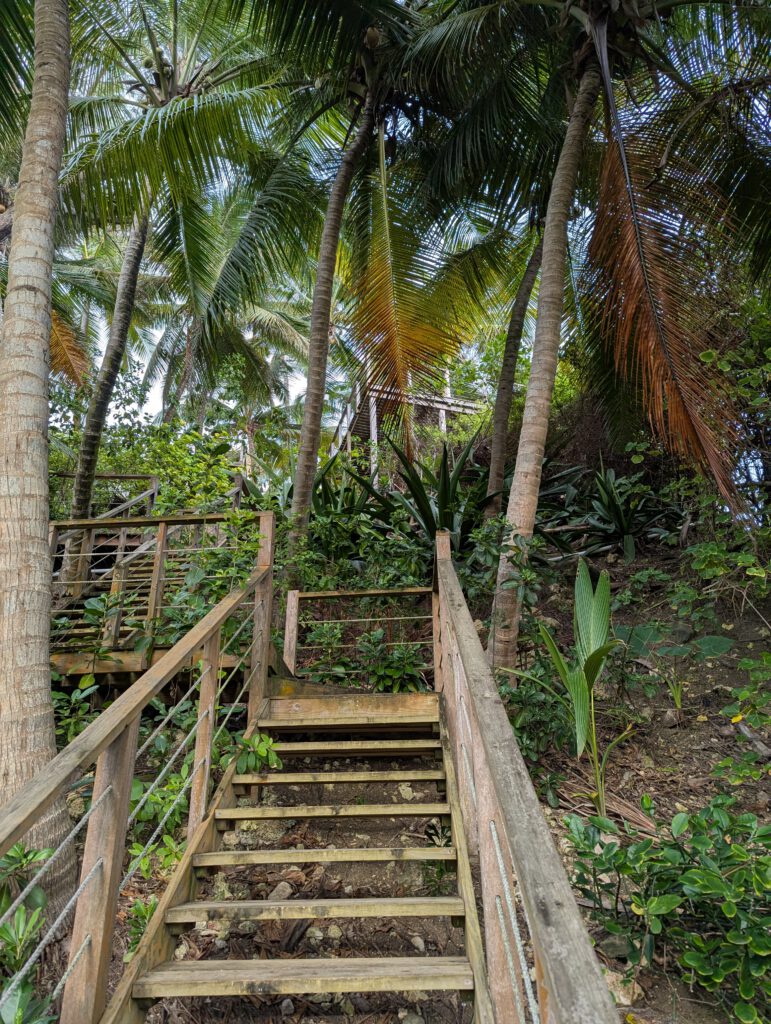 Barbados Eco Lifestyle Lodge, Treppe zum Meer