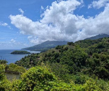 St. Vincent unendlich schöne Natur an der Karibikküste