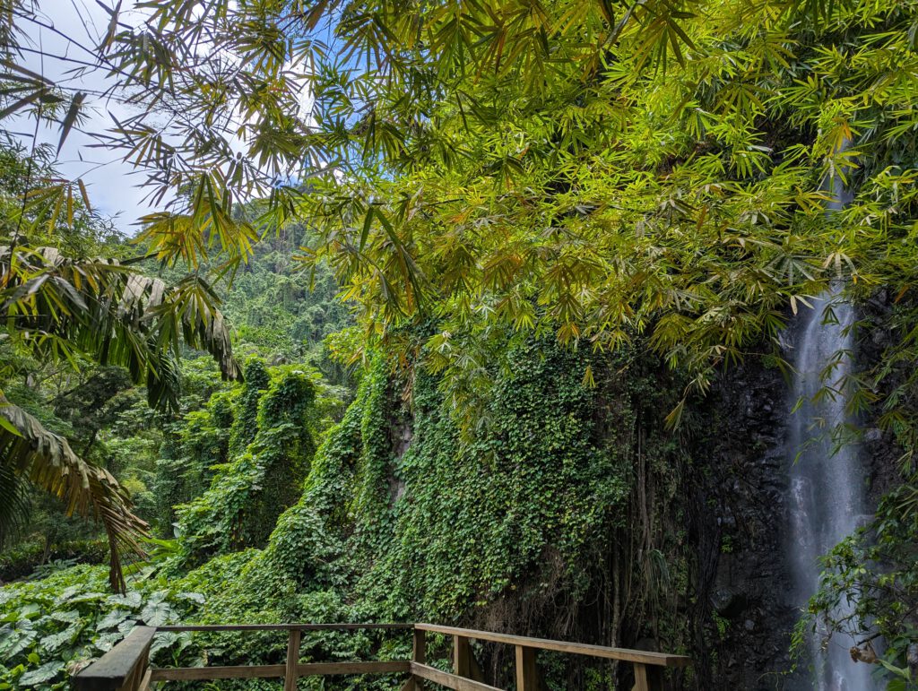 St. Vincent Dark Falls