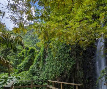 St. Vincent Dark Falls