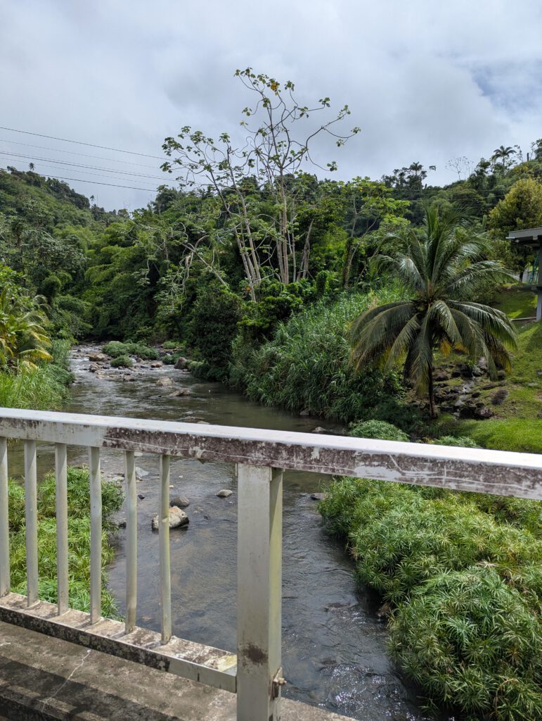 Grenada - Auf Crayfish Estate