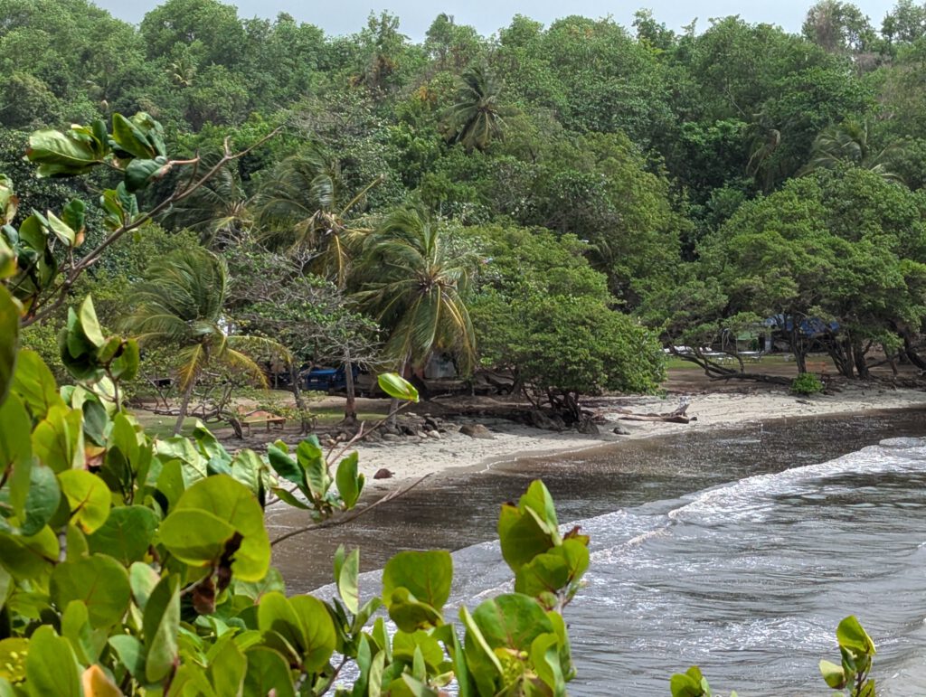 Grenada Strand La Sagesse